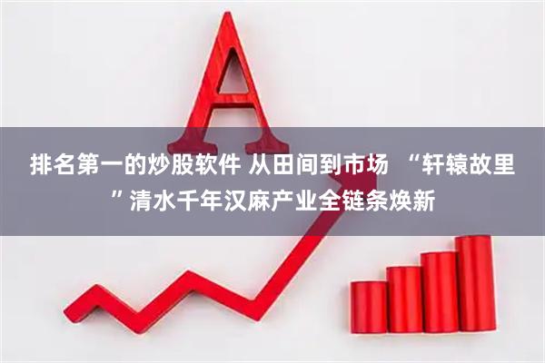 排名第一的炒股软件 从田间到市场  “轩辕故里”清水千年汉麻产业全链条焕新